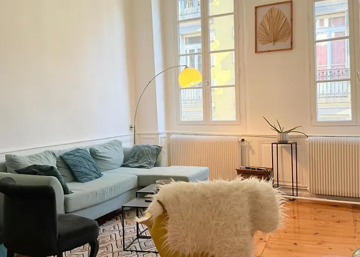 Le Grand Haussmannien Apartment Le Puy-en-Velay